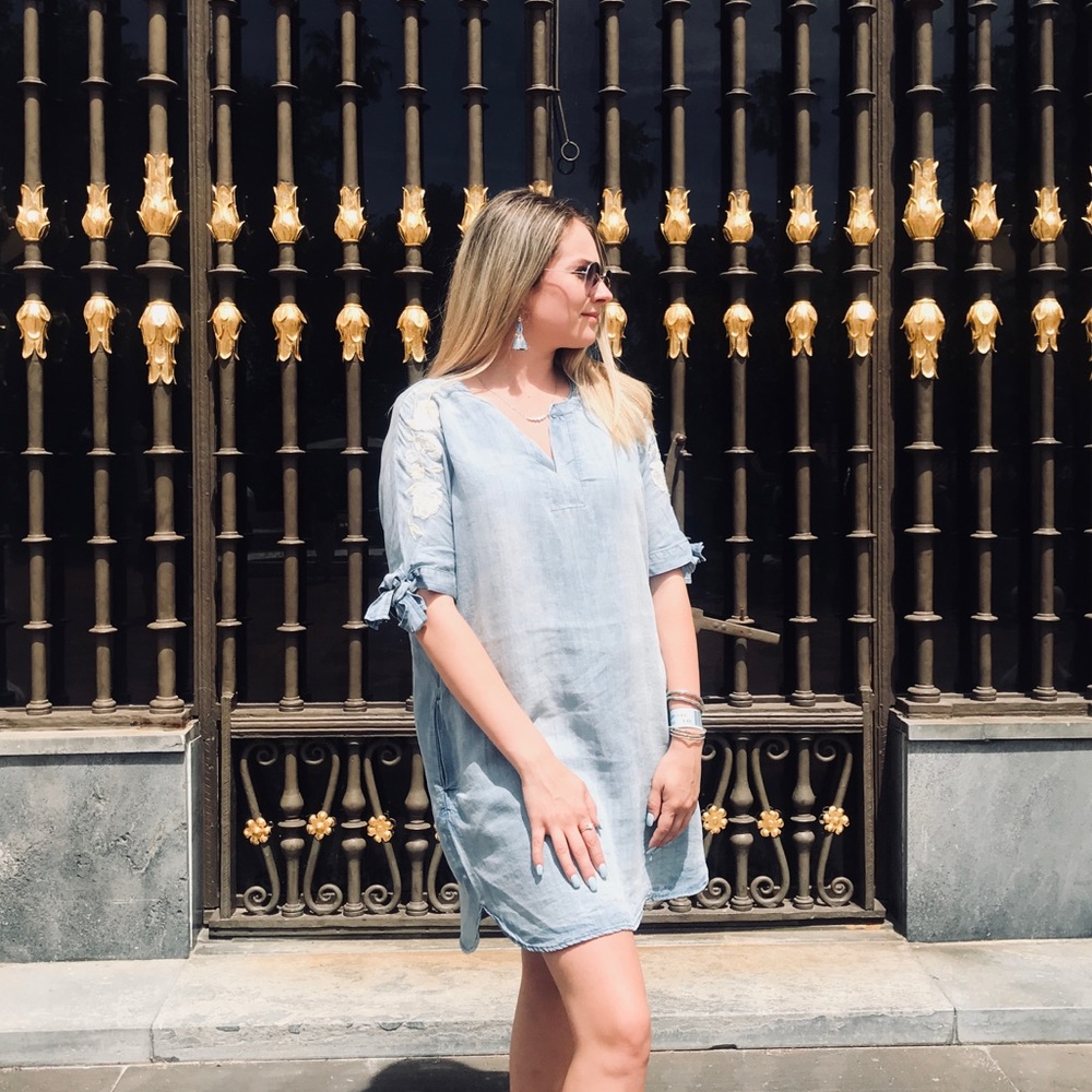 Francesca’s Denim Embroidered Shift Dress